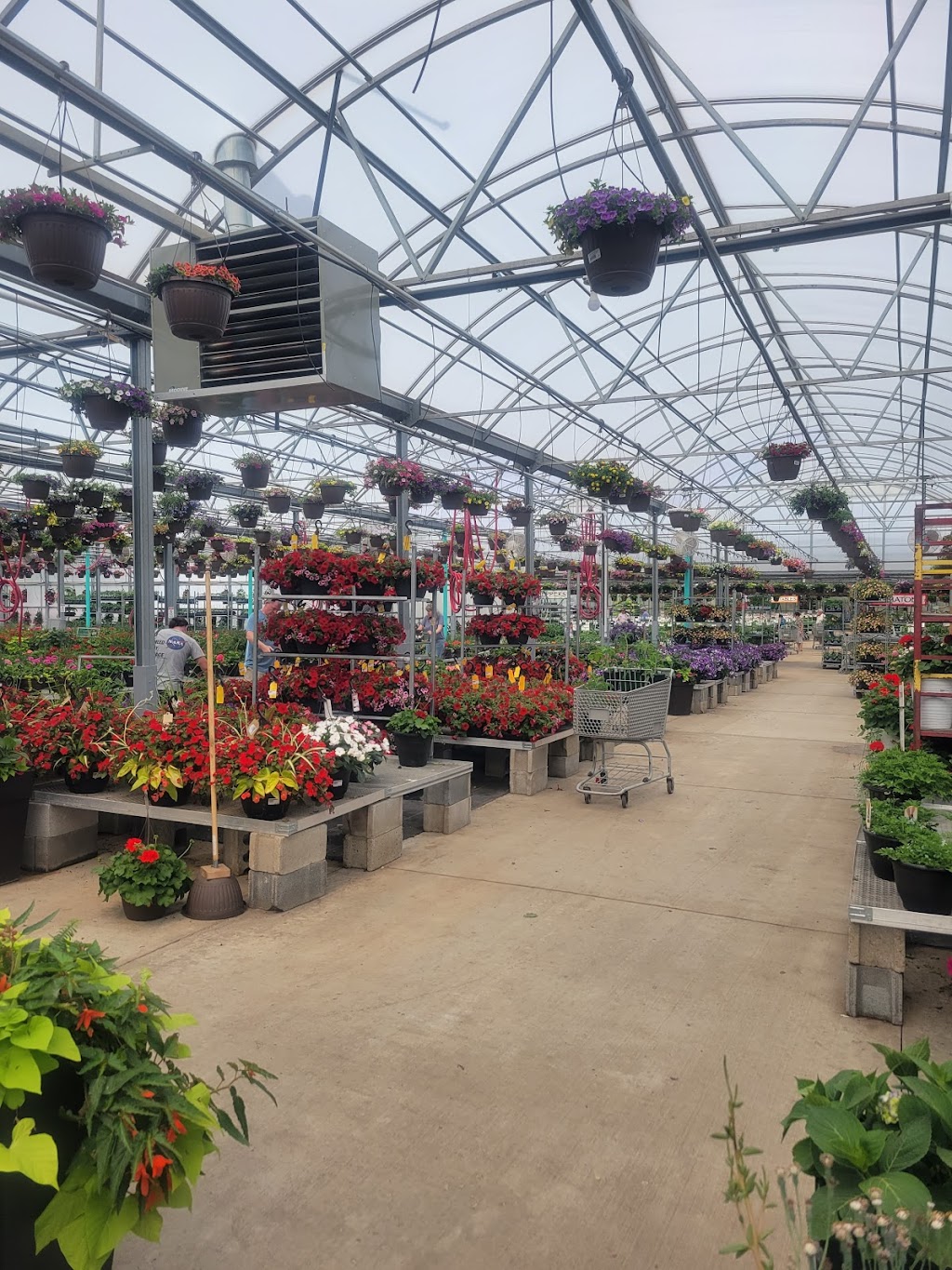 Ruhlig Farms & Gardens | 24508 Telegraph Rd, Brownstown Charter Twp, MI 48134, USA | Phone: (734) 782-9811