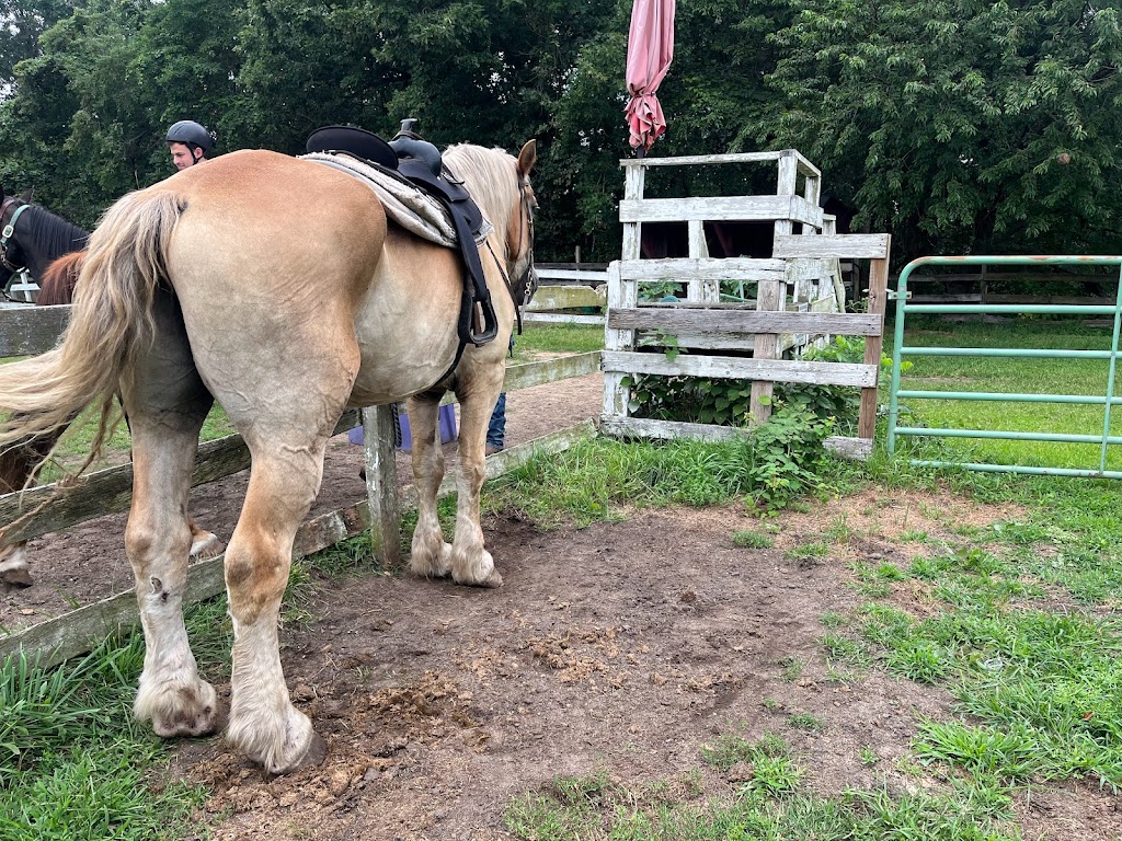 RIDIN HIGH Horseback riding | 815 E Veterans Hwy, Jackson Township, NJ 08527, USA | Phone: (732) 547-2142