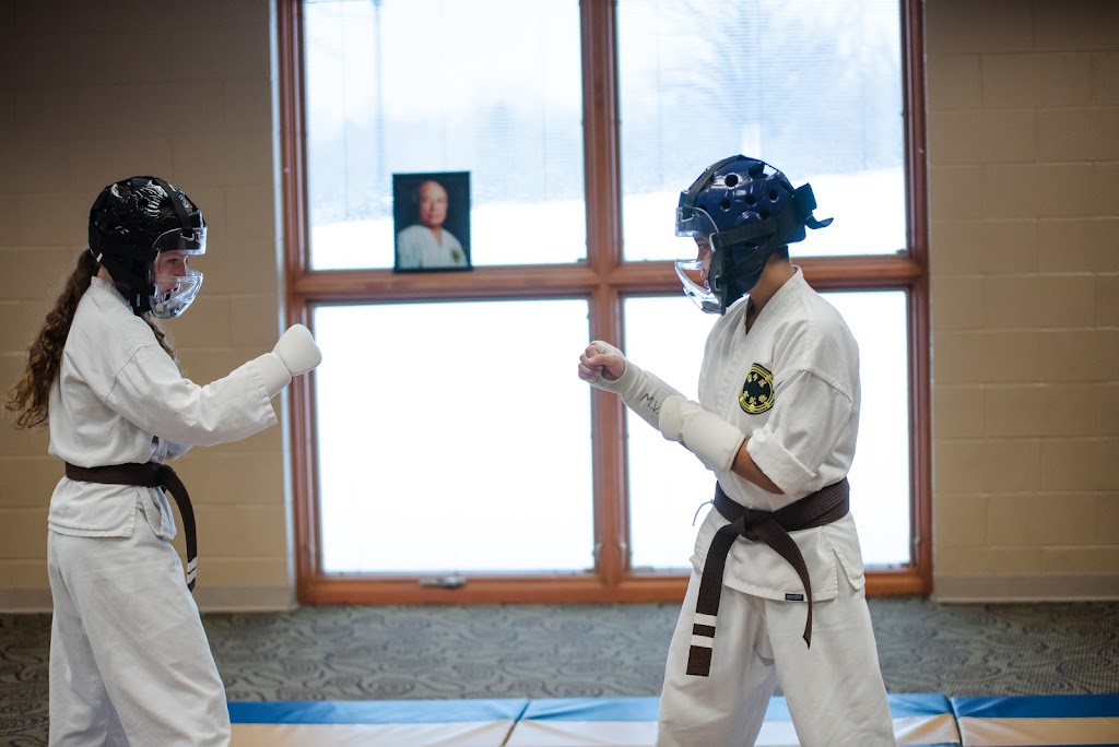 Karate Shorin | 855 Weymouth Rd, Medina, OH 44256, USA | Phone: (330) 242-0950