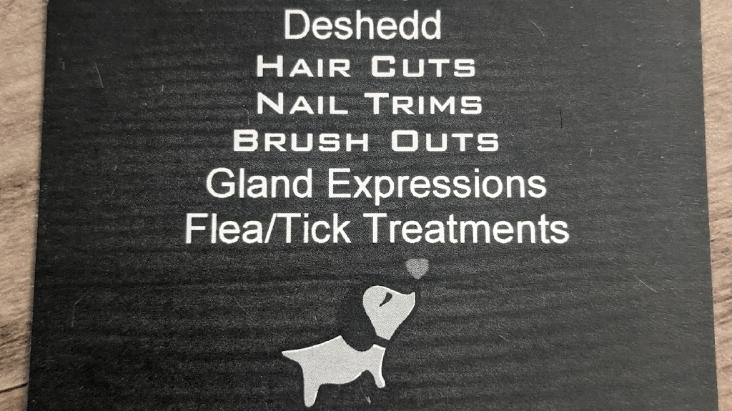 Country K-9 Grooming LLC | 240 S Main St, Coolidge, AZ 85128 | Phone: (480) 431-0355