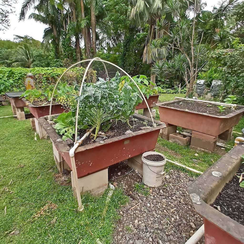 Olomana Gardens in Waimanalo, Hawaii | 41-1140 Waikupanaha St, Waimanalo, HI 96795, USA | Phone: (808) 259-0223