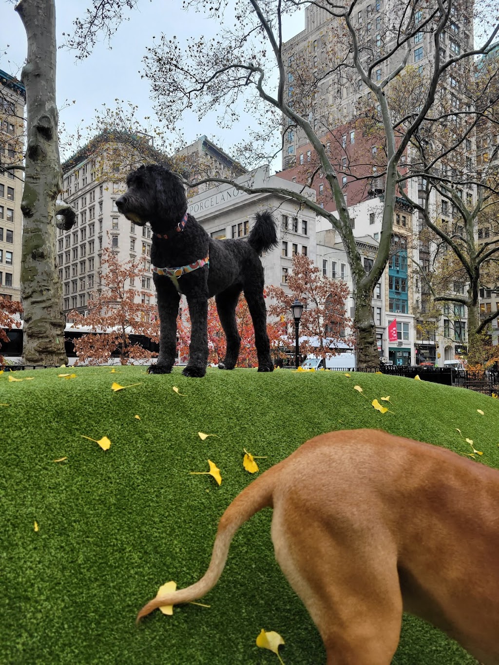 Grey Advertising | 200 5th Ave, New York, NY 10010, USA | Phone: (212) 546-2000