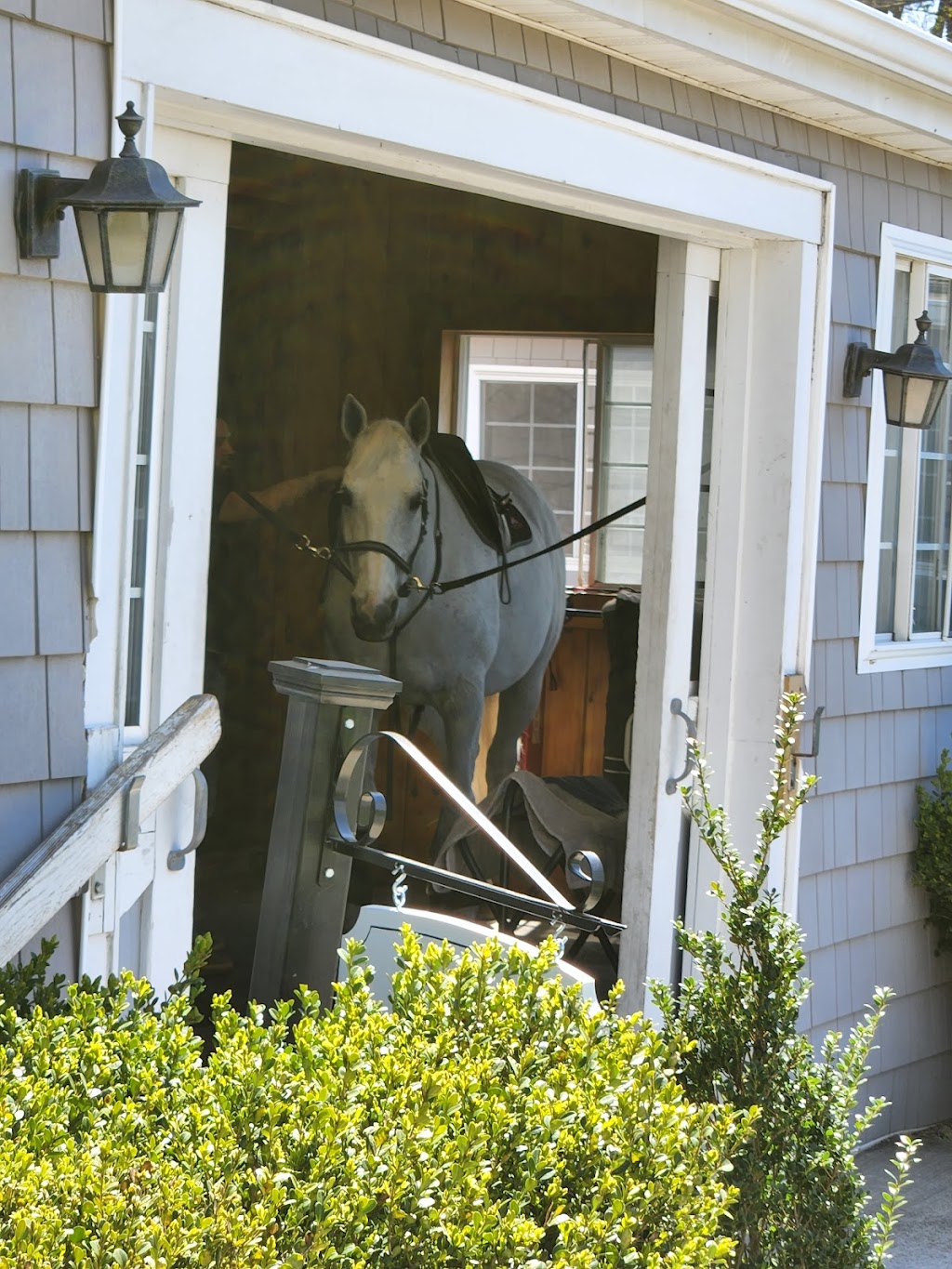 Amara Equestrian | 6080 Northern Blvd, East Norwich, NY 11732, USA | Phone: (516) 242-3247