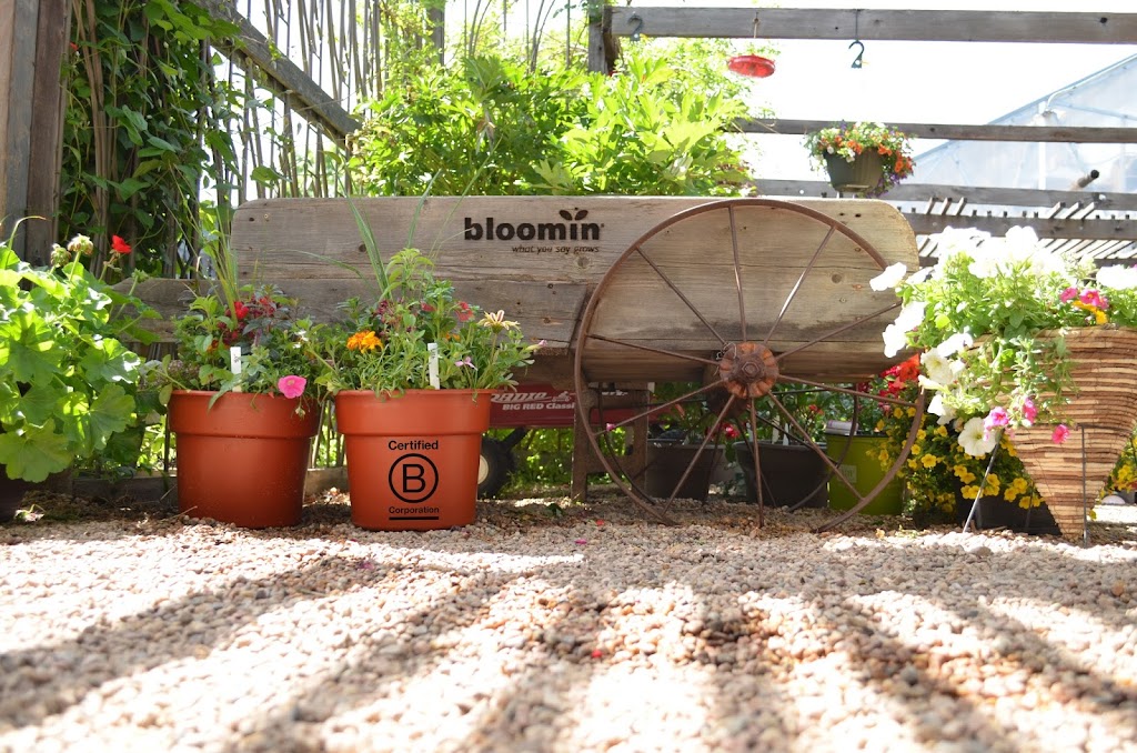 Bloomin | 3080 Valmont Rd #130, Boulder, CO 80301, USA | Phone: (303) 443-3591