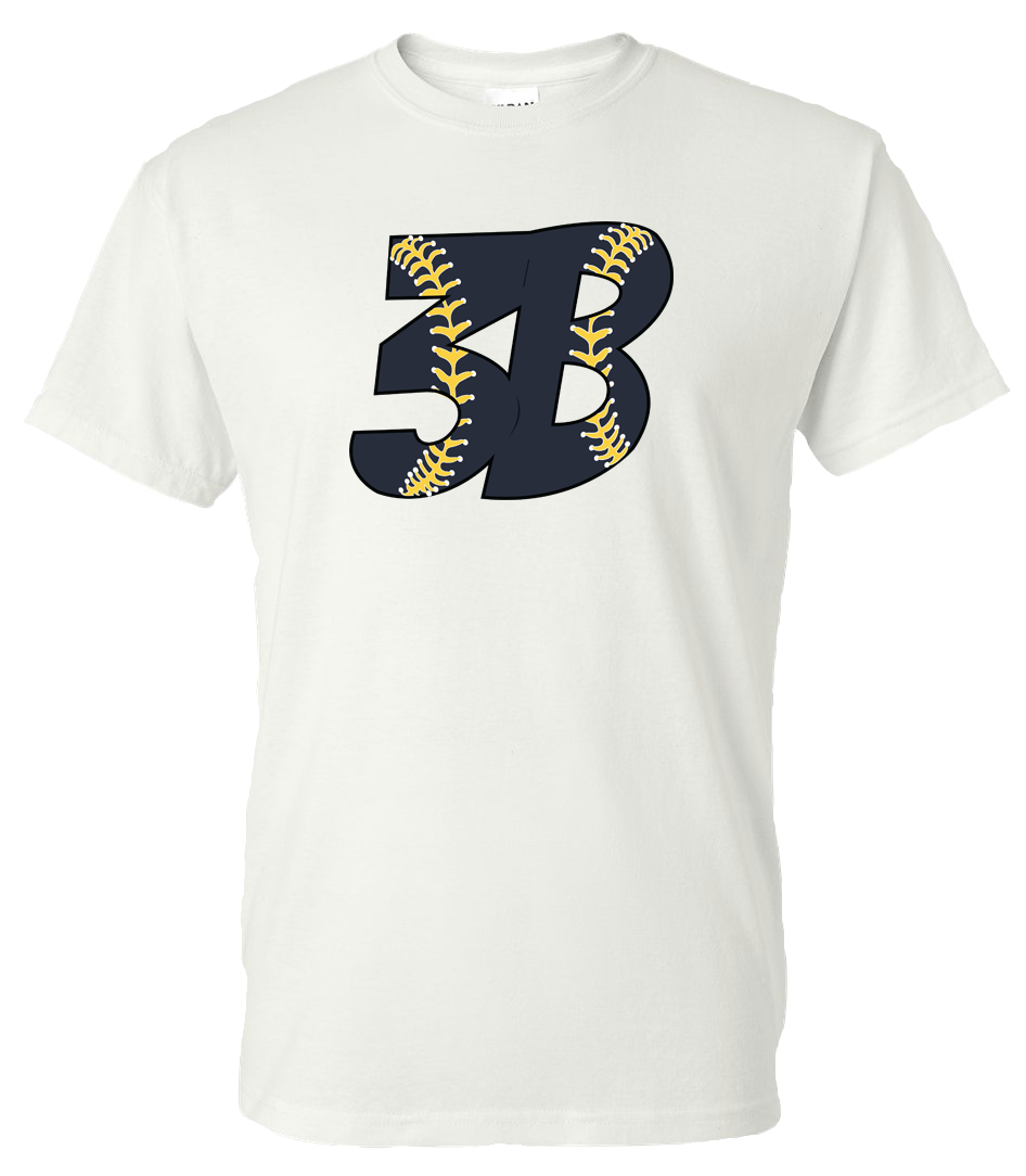 Building Block Baseball | 2040 W State St, New Castle, PA 16101, USA | Phone: (724) 714-1941