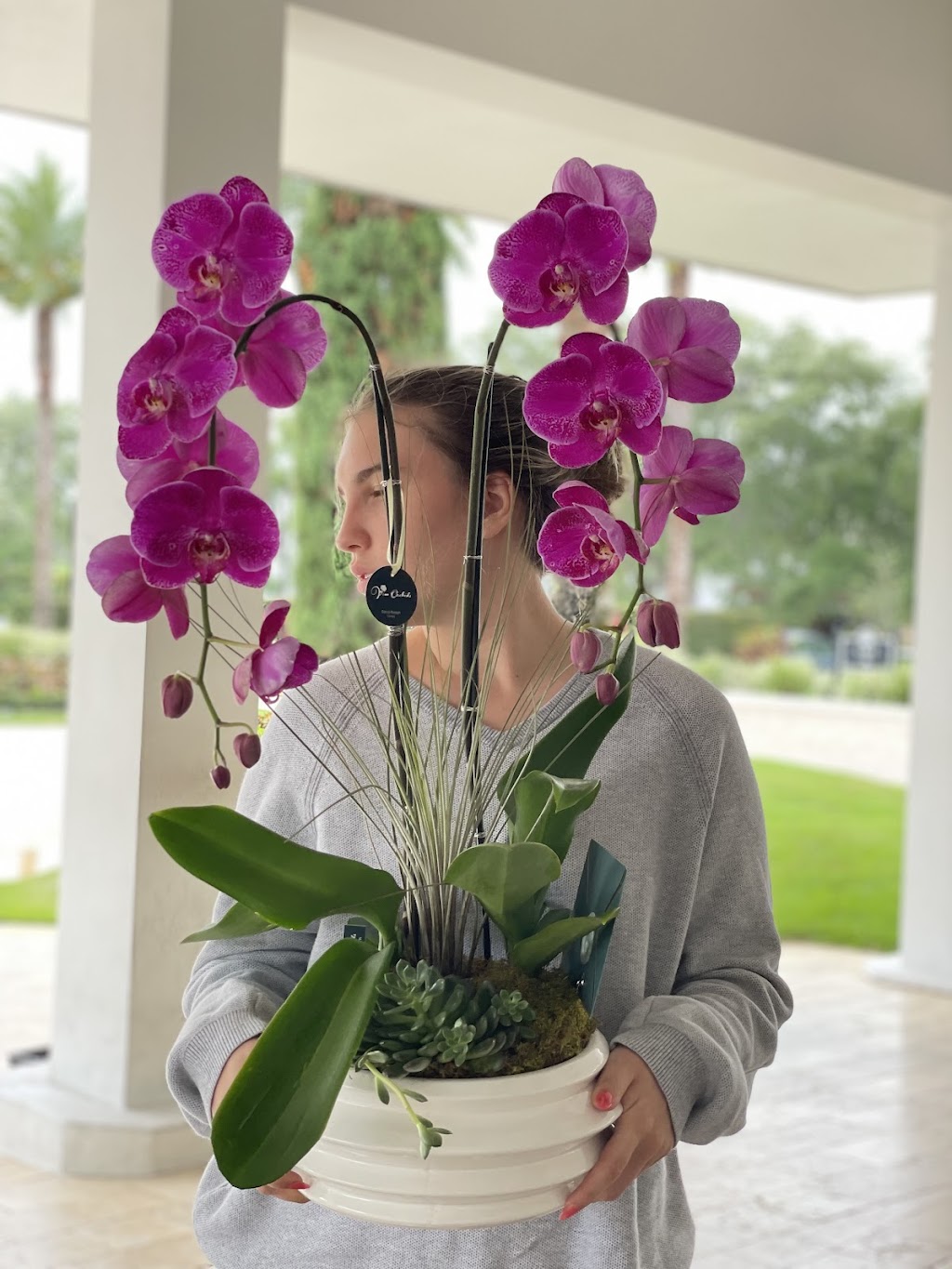 Viva Orchids of Boca Raton | 23369 Torre Cir, Boca Raton, FL 33433, USA | Phone: (561) 507-0073