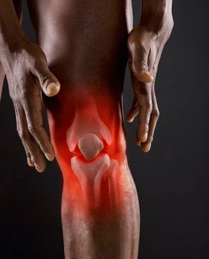 Evo Performance Rehab | 12990 Valley View Rd, Eden Prairie, MN 55344, USA | Phone: (651) 587-3353