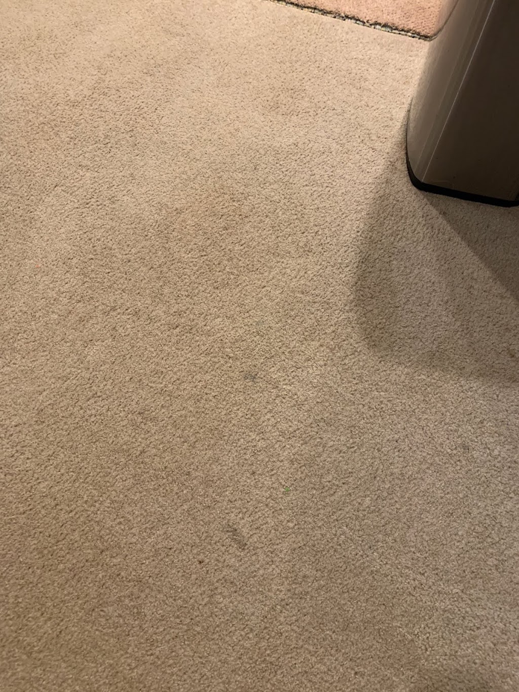 5 Star Carpet Cleaning | 1816 61st St SE #8007, Auburn, WA 98092, USA | Phone: (206) 250-7003