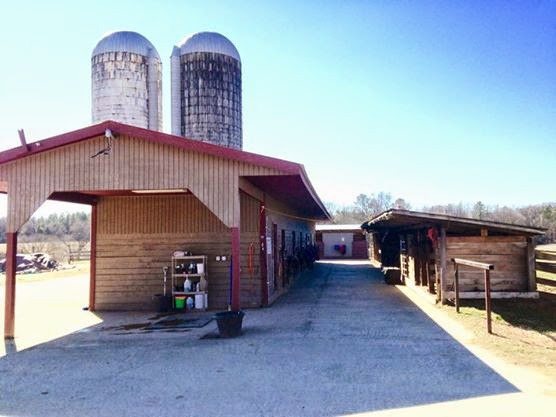 Epona Equine Services | 1288 Crawford Dairy Rd, Pittsboro, NC 27312, USA | Phone: (919) 604-0567