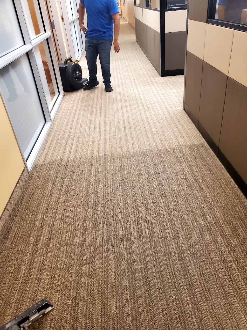 JnJ Carpet Cleaning | 6103 Indian Peaks Ave, Bakersfield, CA 93313, USA | Phone: (661) 371-5362