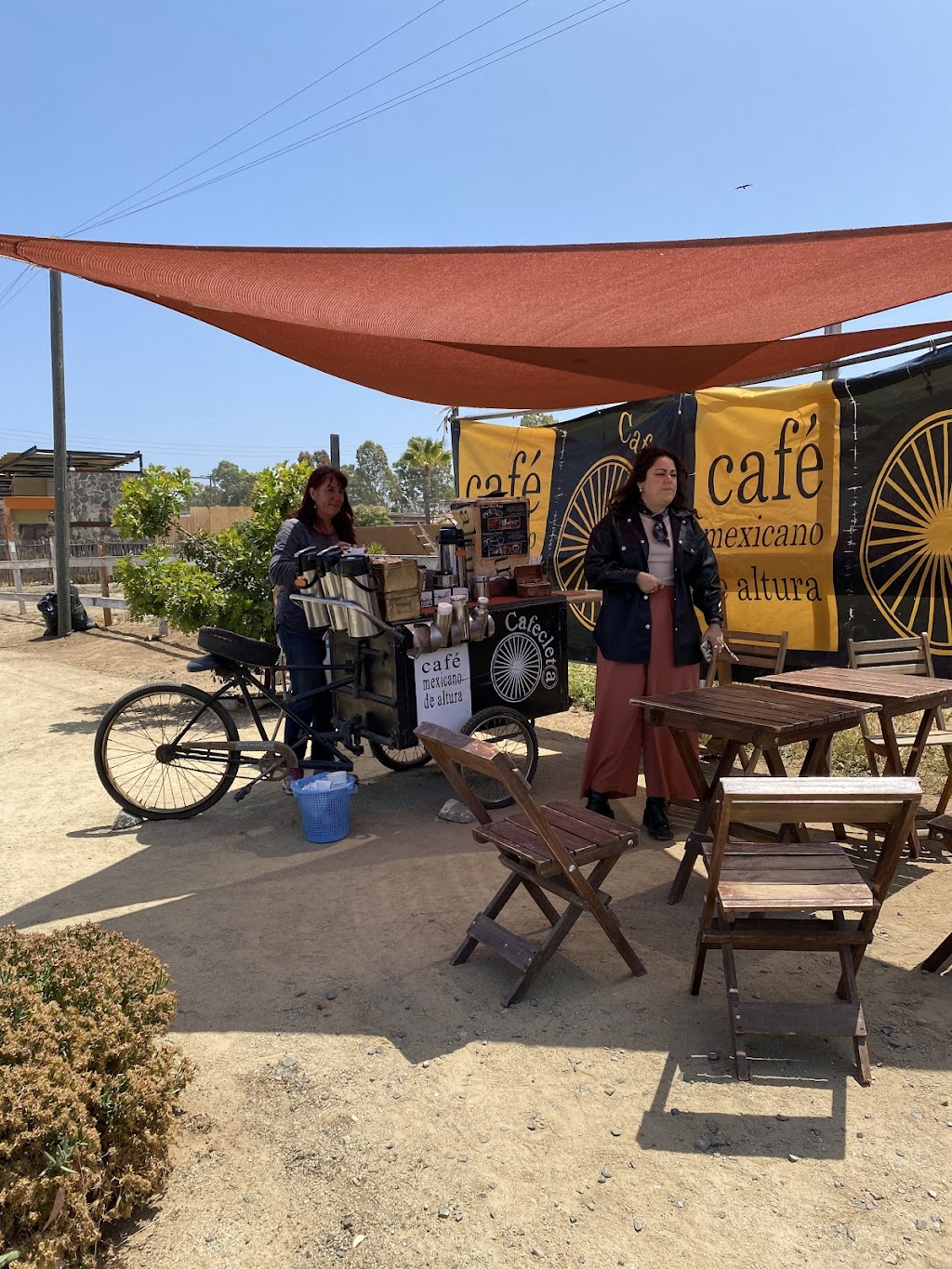 RUGGIEROS COFFEE & CO | México 3 92, 22766 Francisco Zarco, B.C., Mexico | Phone: 646 211 4901