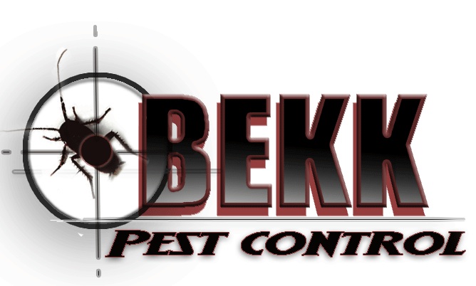 BEKK Pest Control | 6007 Lankershim Blvd, North Hollywood, CA 91606, USA | Phone: (818) 984-1399