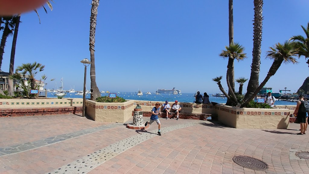 Catalina Island Vacation Rentals | 212 Catalina Ave, Avalon, CA 90704, USA | Phone: (855) 631-5280