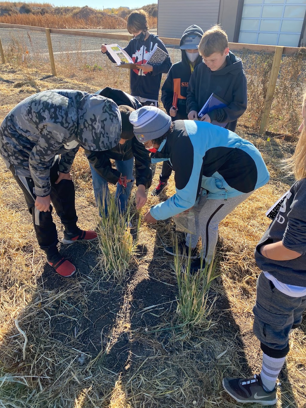 Denver Green School Northfield | 5677 N Galena St, Denver, CO 80238 | Phone: (720) 423-8200