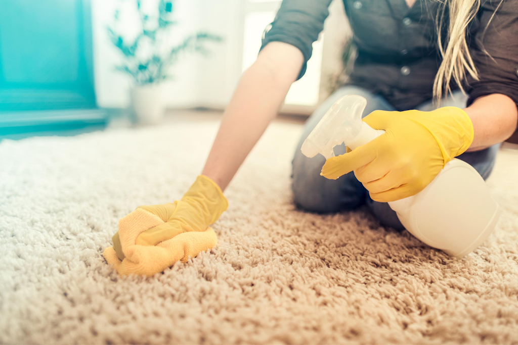 Carpet Cleaners Riverside, CA | Pebble Beach Dr, Murrieta, CA 92563, USA | Phone: (951) 418-2756