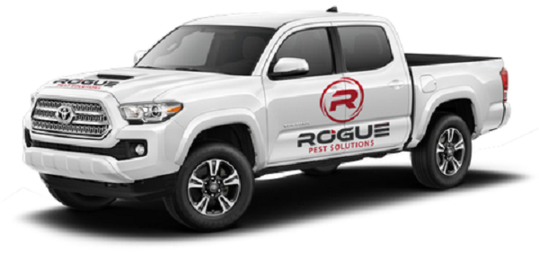 Rogue Pest Solutions | 84 Coy Dr, Chelsea, AL 35043, USA | Phone: (205) 677-3711