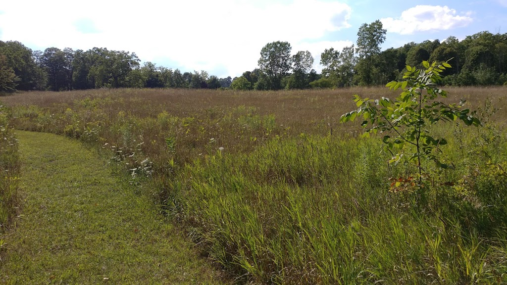 Clark & Avis Spike Preserve | 18700 Grass Lake Rd, Manchester, MI 48158, USA | Phone: (734) 971-6337