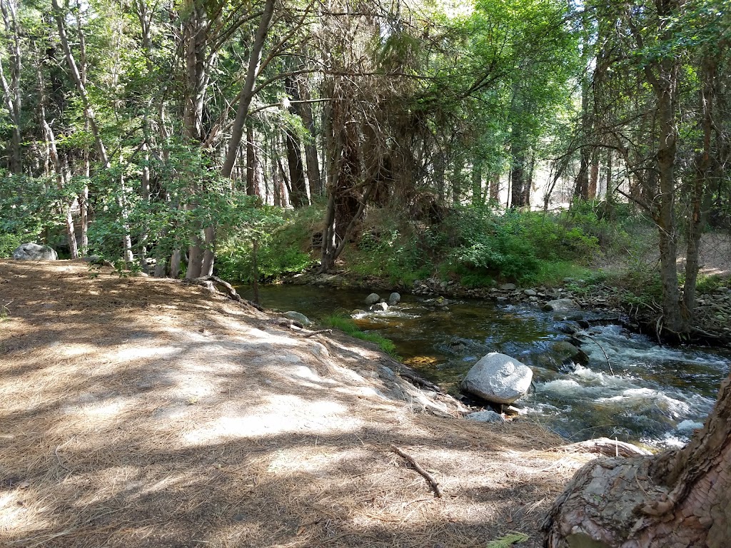 Lower Peppermint Campground | Forest Rte 22S82, Springville, CA 93265, USA | Phone: (559) 784-1500