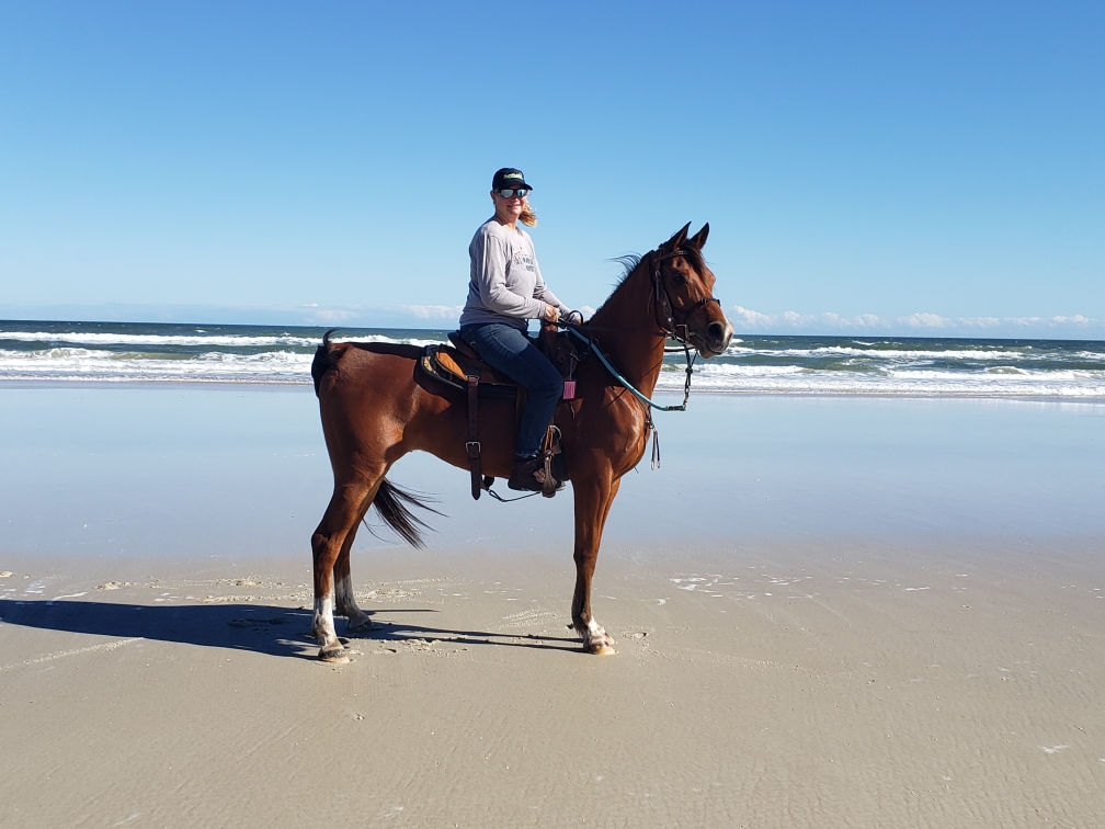 Sunny Day Feed | 6400 cr214, St. Augustine, FL 32092, USA | Phone: (904) 687-8498