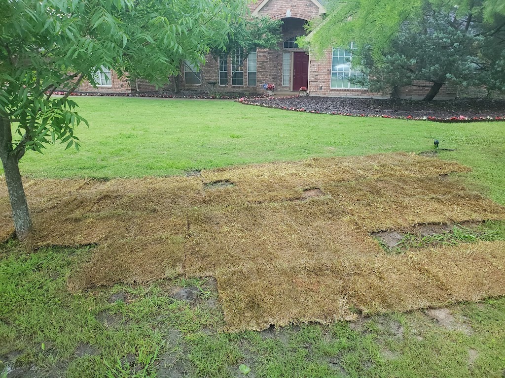 Kelly Sod Sales | 4708 TX-91, Denison, TX 75020, USA | Phone: (903) 337-0593