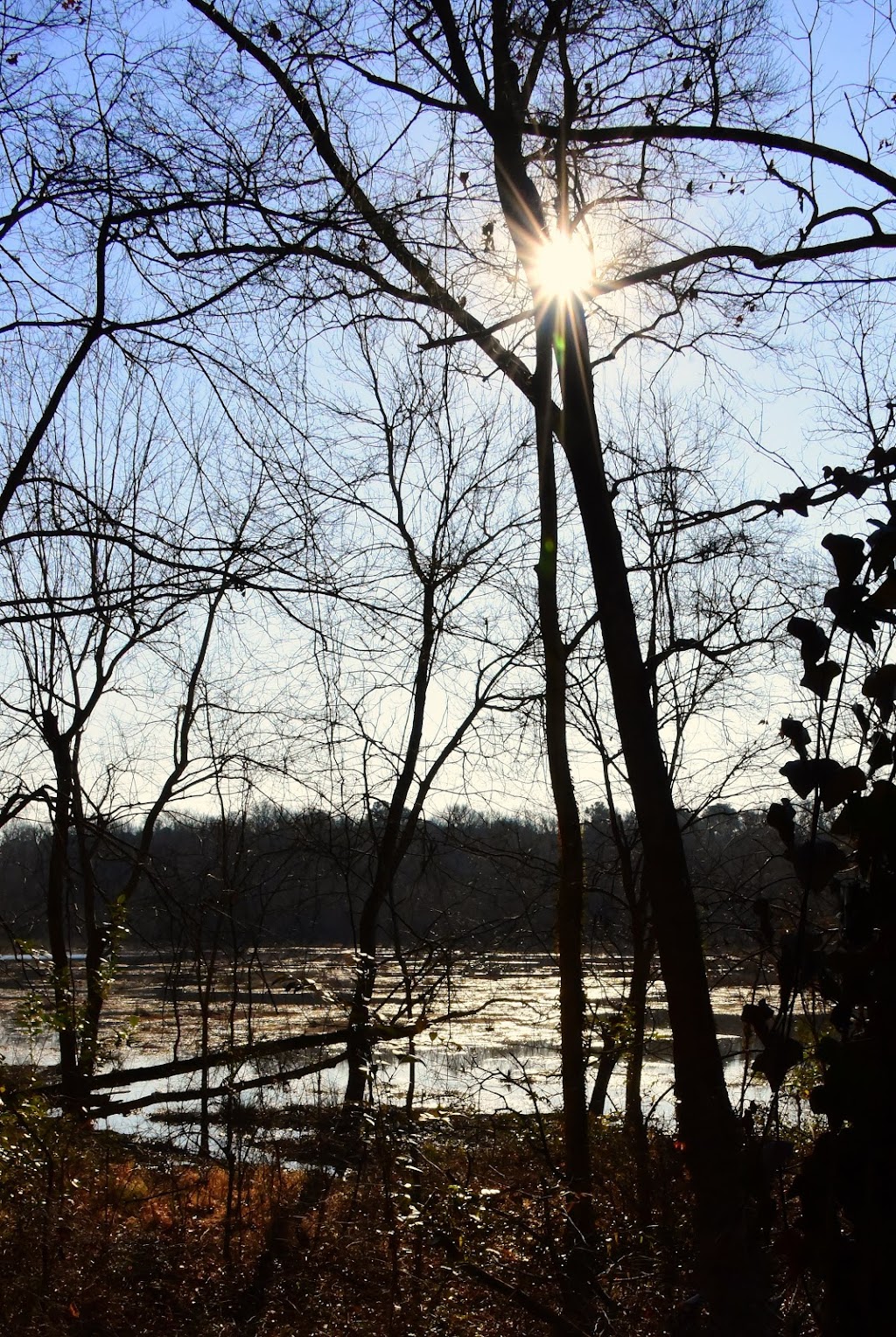 Beaver Marsh Nature Preserve | Cascadilla Street, Ambridge St, Durham, NC 27704, USA | Phone: (919) 698-9729