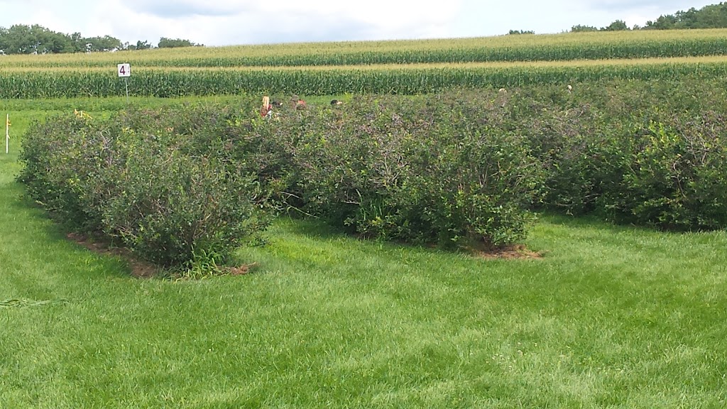 Berry Farmer | E10222 Hoot Owl Valley Road, Baraboo, WI 53913, USA | Phone: (608) 355-1965