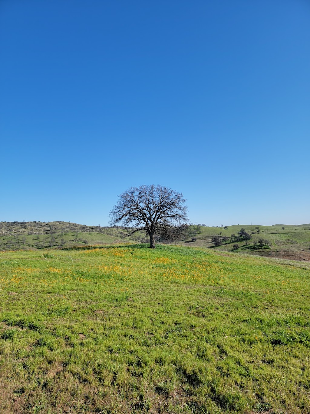 Hensley Lake Recreation Area | 25207 Rd 407, Raymond, CA 93653, USA | Phone: (559) 673-5151