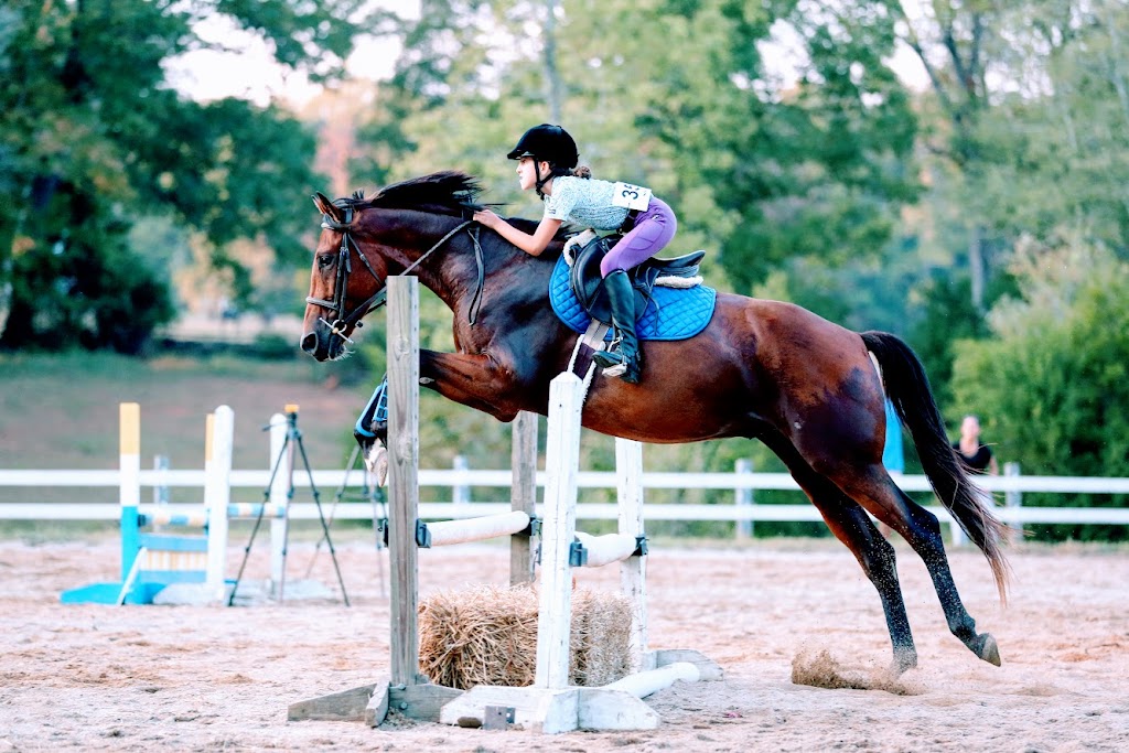 Countyline Equestrian Center | 2616 NC-98, Louisburg, NC 27549, USA | Phone: (919) 271-0417