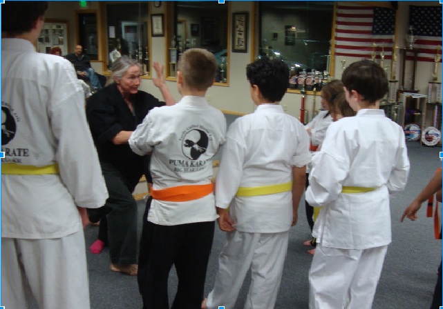 Puma Karate | 42565 Moonridge Rd, Big Bear Lake, CA 92315, USA | Phone: (909) 281-4278