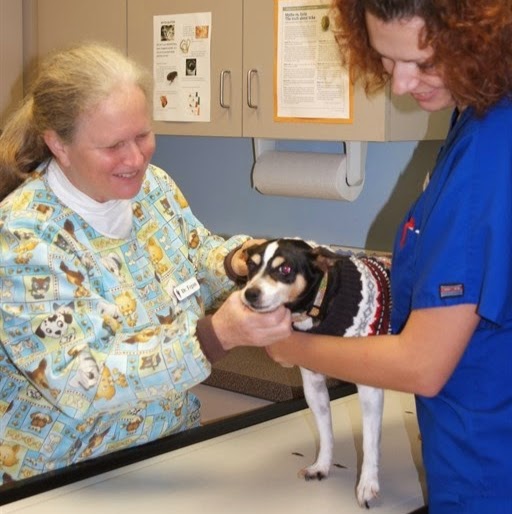 Big Creek Pet Hospital | 27093 Bagley Rd #4, Olmsted Falls, OH 44138, USA | Phone: (440) 234-5831