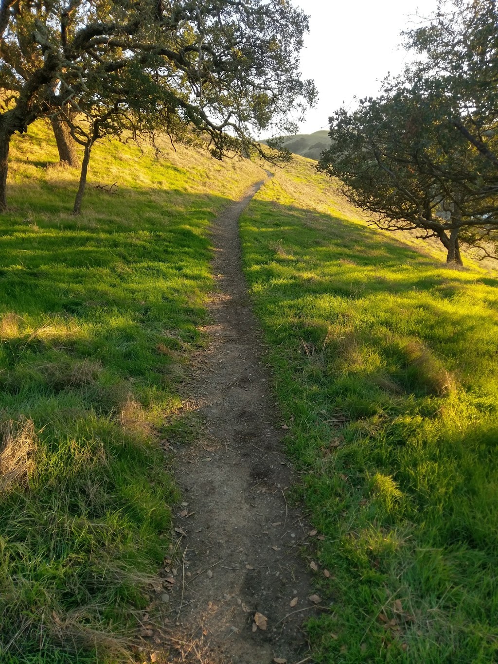 Del Valle Arroyo Road Staging Area (EBRPD) | Arroyo Rd, Livermore, CA 94550, USA | Phone: (510) 544-3146