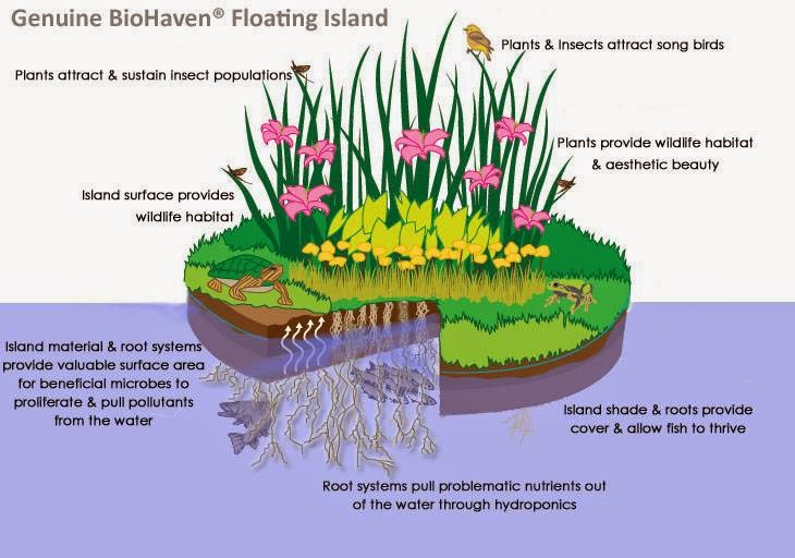 Floating Islands West | 5001 Neilson Rd, Mokelumne Hill, CA 95245, USA | Phone: (209) 286-1445