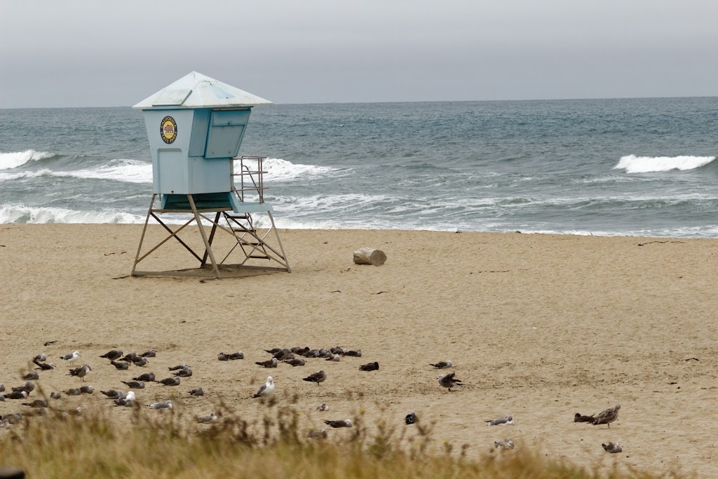 Pomponio State Beach | 19369 Cabrillo Hwy S, San Gregorio, CA 94074, USA | Phone: (650) 879-2170