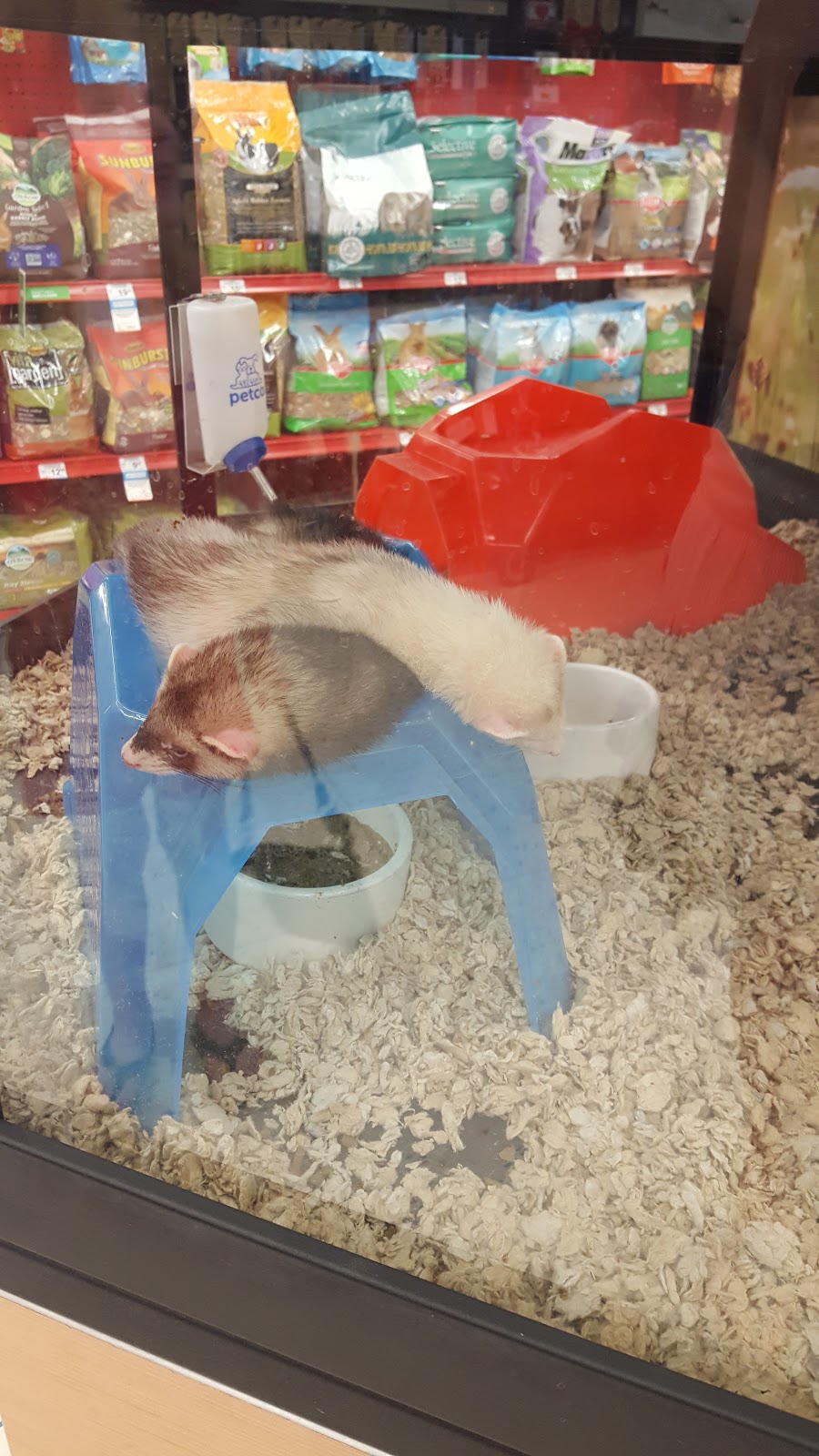 Petco | 313 Homer M Adams Pkwy, Alton, IL 62002, USA | Phone: (618) 462-2950