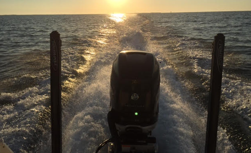Palm Harbor Fire Department | 250 W Lake Rd, Palm Harbor, FL 34684, USA | Phone: (727) 784-0454 Palm Harbor Fire Department | 250 W Lake Rd, Palm Harbor, FL 34684, USA | Phone: (727) 784-0454