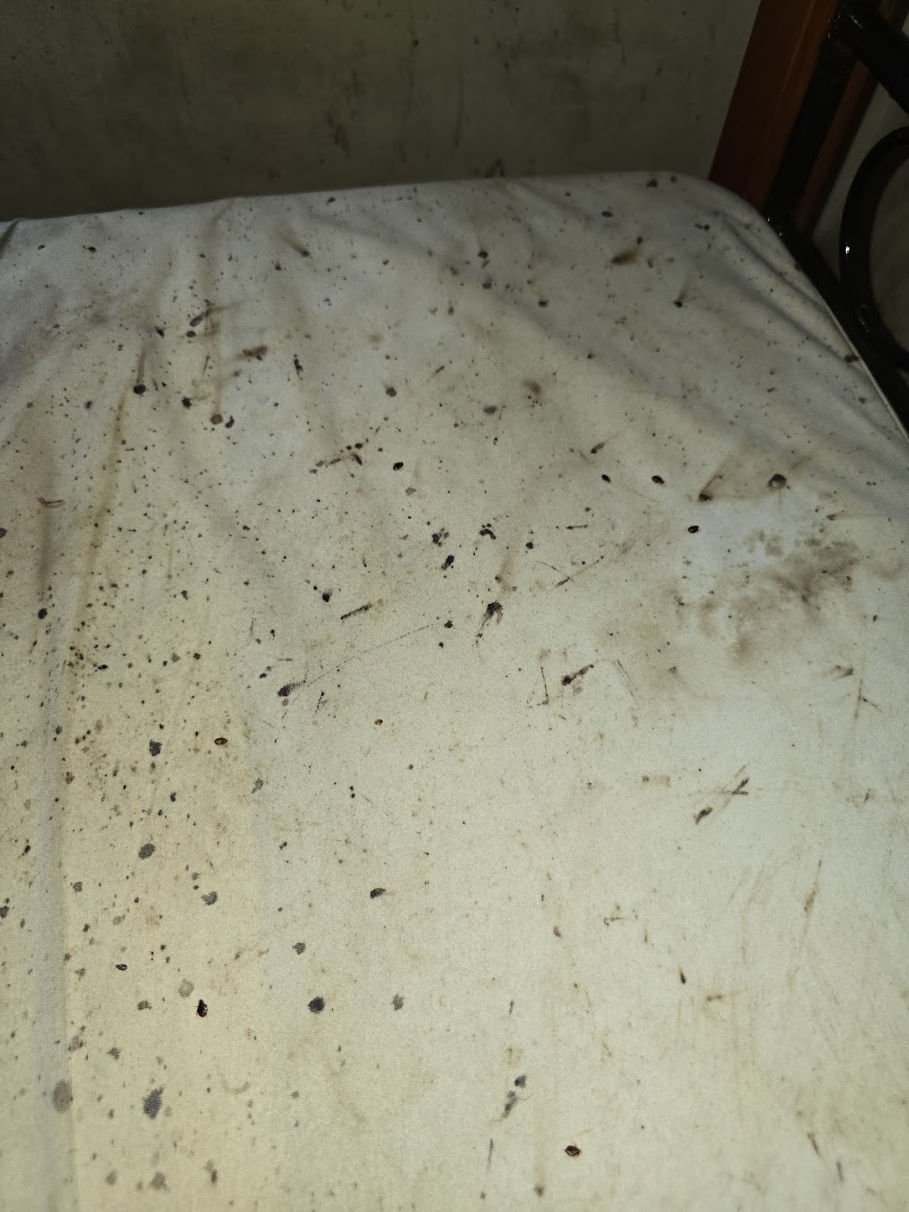 gam exterminating | 324 Clocks Blvd, Massapequa, NY 11758, USA | Phone: (877) 732-2057