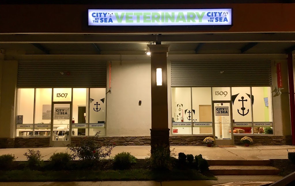 City By The Sea Veterinary | 1309 Memorial Dr, Asbury Park, NJ 07712, USA | Phone: (848) 217-5000