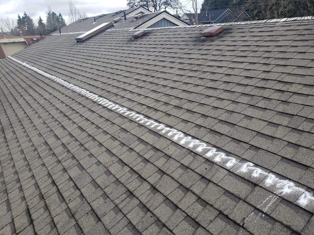 PDS Roof Moss Removal & Gutter Cleaning | SW 192nd Pl, Beaverton, OR 97006, USA | Phone: (971) 276-3826