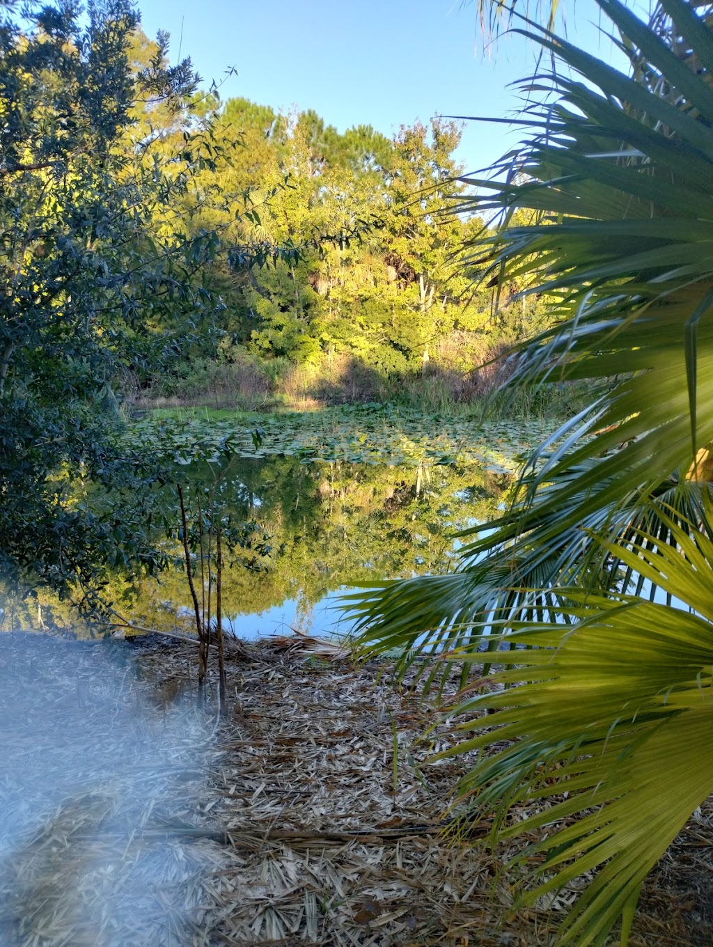 Florida Botanical Gardens | 12520 Ulmerton Rd, Largo, FL 33774, USA | Phone: (727) 582-2117