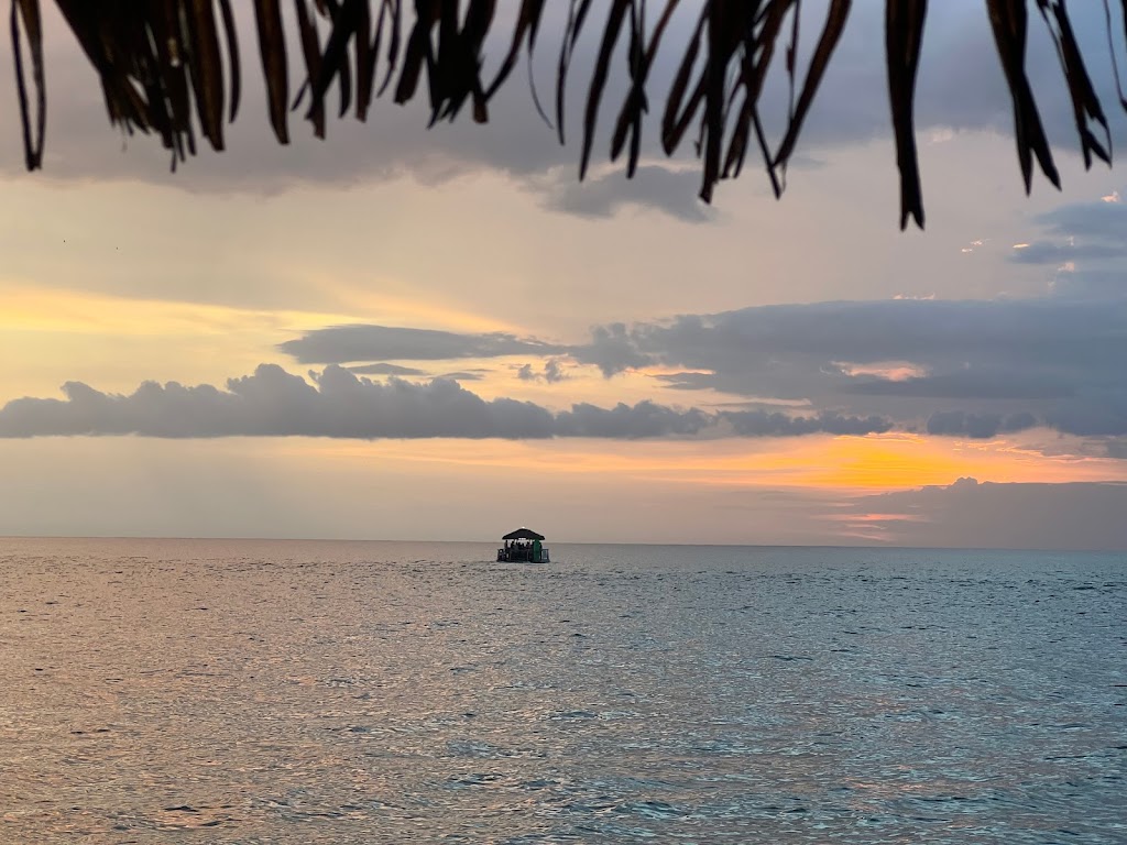 Low Tide Tours Tiki Boat | 8865 Midnight Pass Rd, Sarasota, FL 34242, USA | Phone: (941) 405-0045