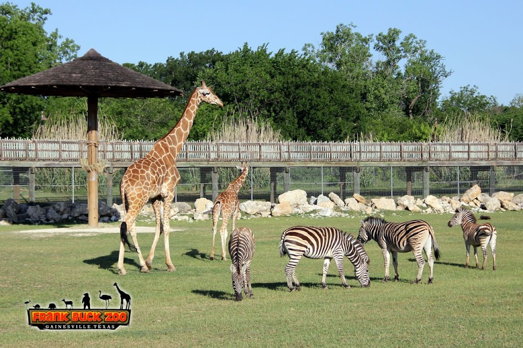 Frank Buck Zoo | 1000 W California St, Gainesville, TX 76240, USA | Phone: (940) 668-4539