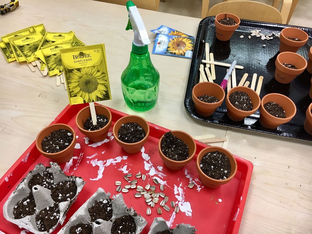 Lake Anne Nursery Kindergarten | 12021 N Shore Dr, Reston, VA 20190, USA | Phone: (703) 437-0035