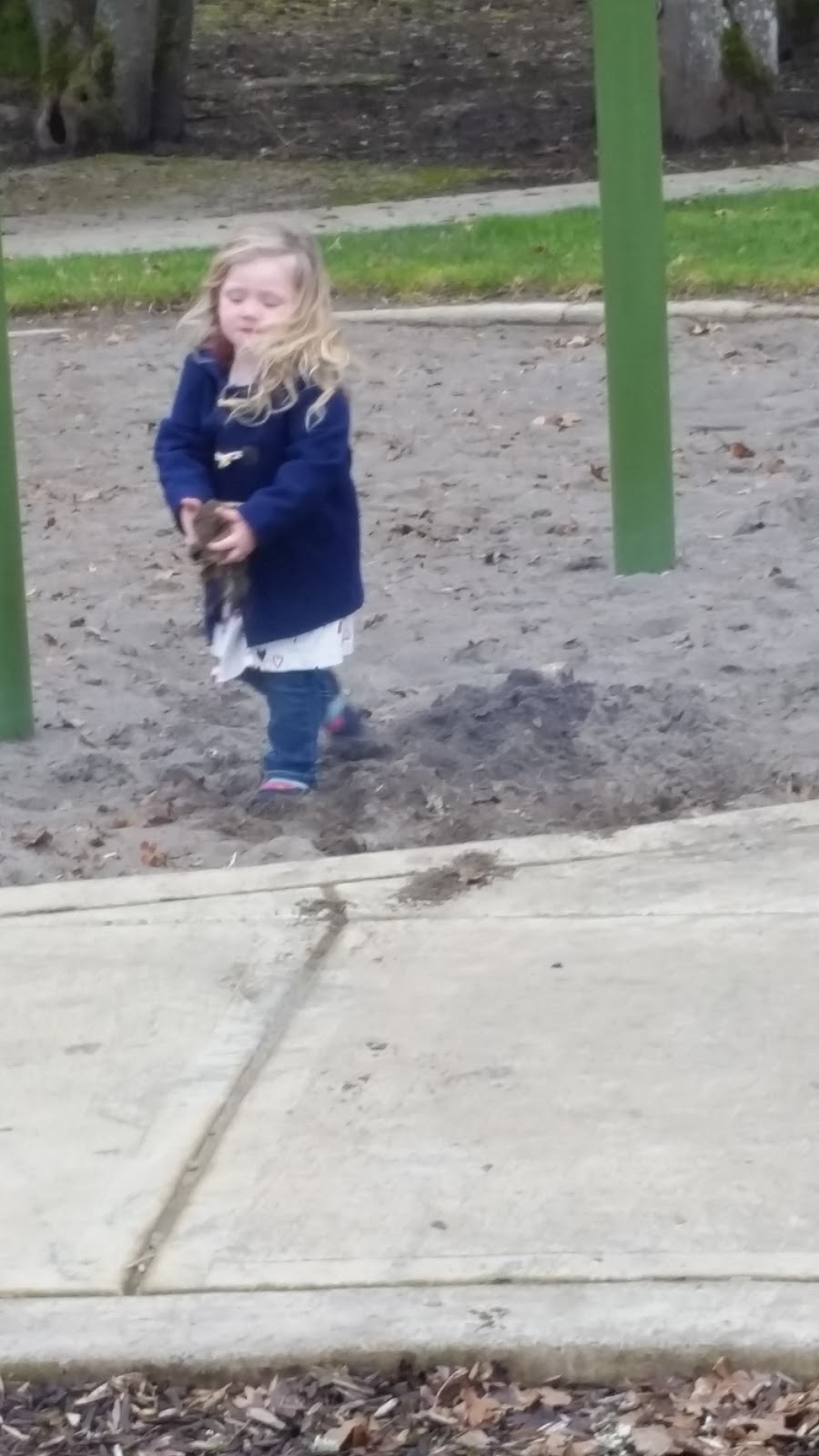 Piccadilly Park | Costa Cir W, Wilsonville, OR 97070, USA | Phone: (503) 783-7529