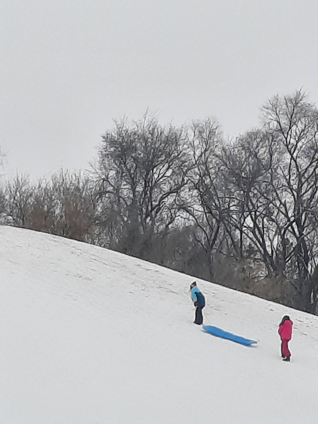 Valley Place Park Sledding Hill | 3224 Louisiana Ave N, Minneapolis, MN 55427, USA | Phone: (763) 531-0052