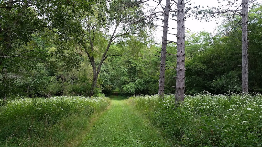 Belwin Conservancy: Stagecoach Prairie | 825 Stagecoach Trail S, Afton, MN 55001, USA | Phone: (651) 436-5189