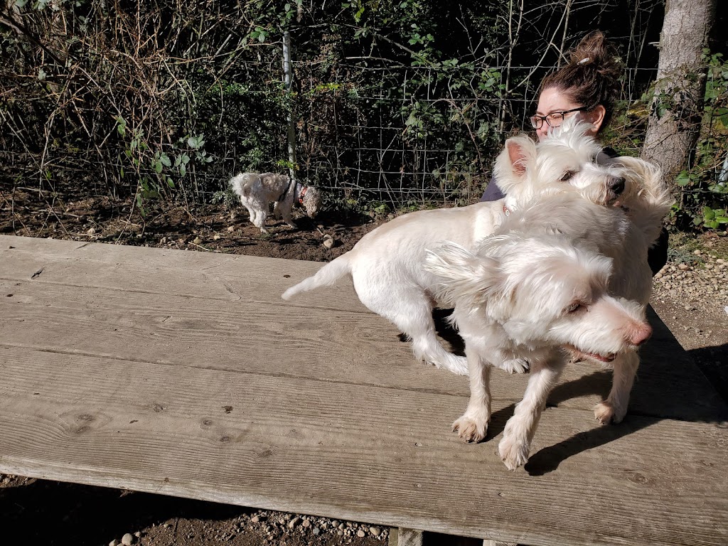 Rotary Bark Park | 10100 Bujacich Rd, Gig Harbor, WA 98332, USA | Phone: (253) 858-3400