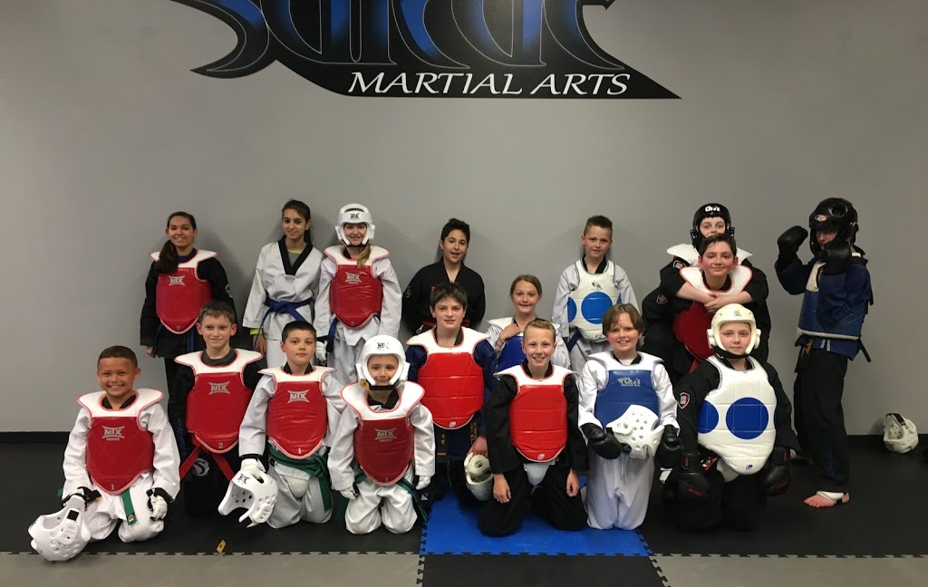 Surge Martial Arts | N56W14044 Silver Spring Dr #108, Menomonee Falls, WI 53051, USA | Phone: (262) 391-6306