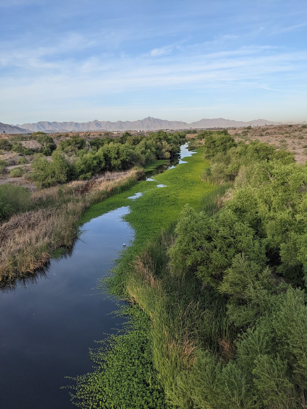 Rio Salado Habitat Restoration Area | 2439 S Central Ave, Phoenix, AZ 85004, USA | Phone: (602) 262-6863