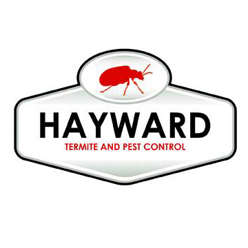 Hayward Termite And Pest Control | 8422 Tidewater Dr, Norfolk, VA 23518 | Phone: (757) 263-7858