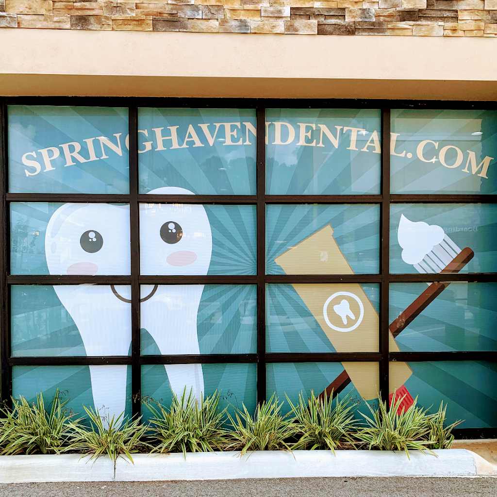 Spring Haven Dental | 13254 FL-54, Odessa, FL 33556, USA | Phone: (813) 448-6885